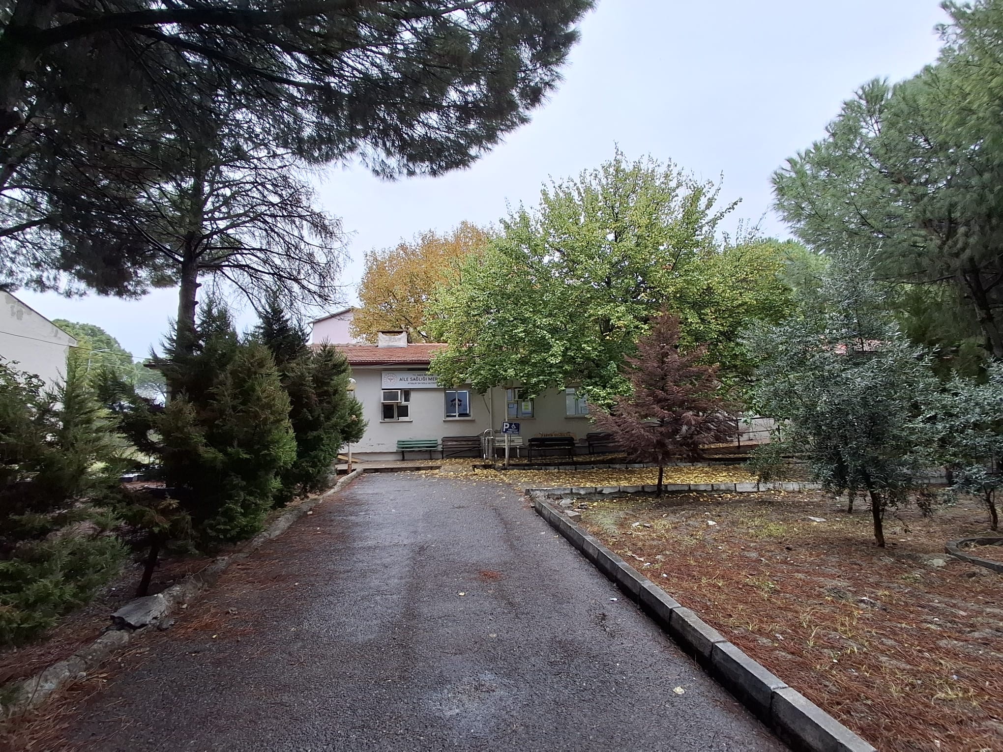 Bahçe ve Ağaçlar