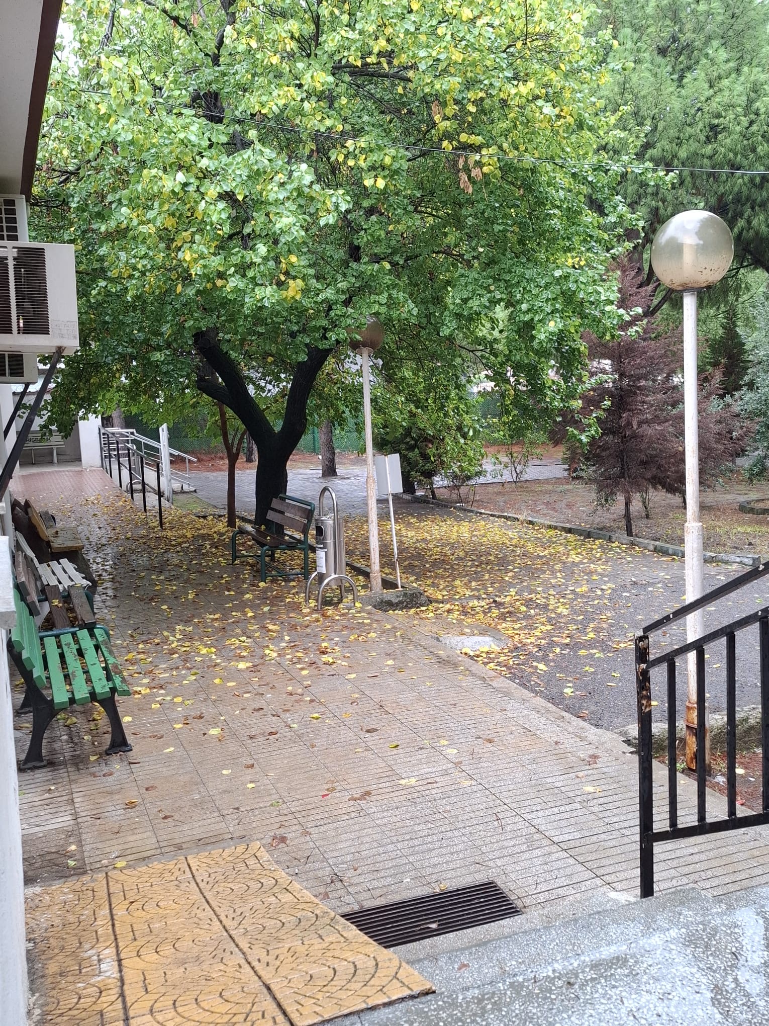 Bahçe ve Banklar